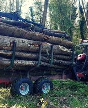 LE BOIS DES MARAIS image 2