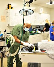 Town & Country Animal Hospital image 4