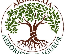 Arborexia image 9