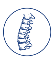 Ropers Tangui image 2