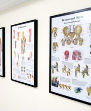 Bram van Krevel Physiotherapeut Bild 2