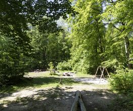 FriedWald Burg Plesse Bild 9