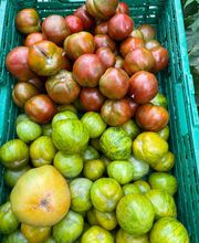 Marché Balmer Bild 15