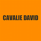 Cavalie David