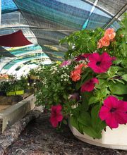 La Planterie image 2