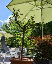 Hotel Morgensonne Bild 17