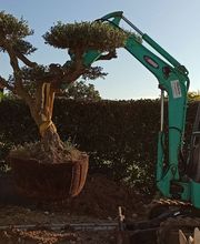 Sign'Nature Jardin image 3