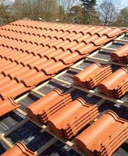 Scheck Jean image 10