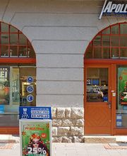 Apollo-Optik - Aschersleben - Hecknerstr. Bild 1