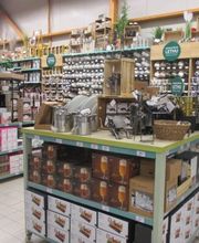 Centrakor Lanvollon image 4