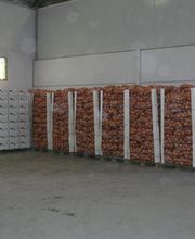 CEBESTUR,S.L. imagen 8