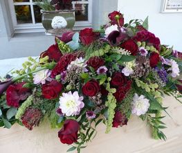 Blumen Vergissmeinnicht Bild 5