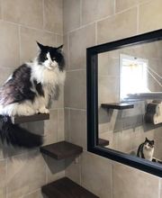 Le Domaine de Noisette image 8