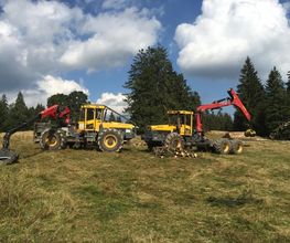 Entreprise forestière Sauser SA Bild 3