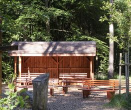 FriedWald Planitzwald Bild 9