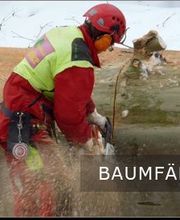 Baumdienst Schaller Bild 2