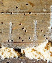 Garbi Aragón imagen 4