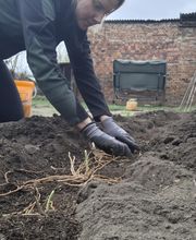 Jenny´s Kükenglück und Gartenzauber Bild 8