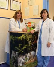 CLÍNICA VETERINARIA PALOMERA imagen 2