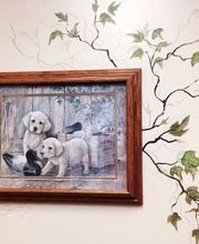 Belle Plaine Animal Hospital image 11