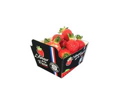 Saica Pack SAINT JUNIEN image 11