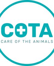 COTA Veterinary image 12