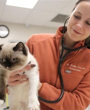 Walnut Creek Veterinary Clinic image 11