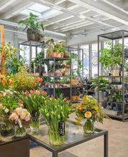 Heilsarmee Buchseegut Bild 4