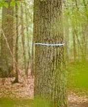 FriedWald Lauterbach Bild 3