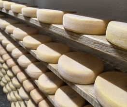 Fromagerie d'Hérémence SARL Bild 7