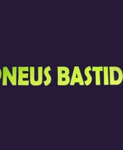 Pneus Bastide image 6