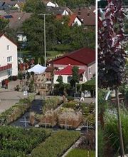 Kienzle Garten GmbH Bild 1
