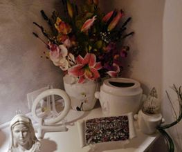 Gallery Cliente
