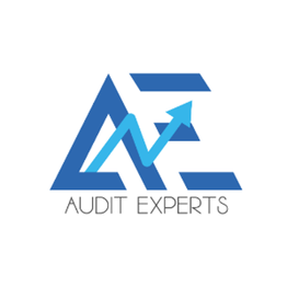 Audit-experts