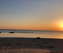 Super Hundeurlaub Bild 15