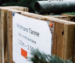 Garten-Center Spiering GmbH Wesel Bild 72