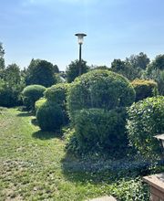 Gartenservice Mark Miess Bild 13