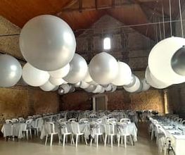 David Ballon Evolution image 3