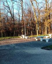 Aire de Narbéfontaine image 1