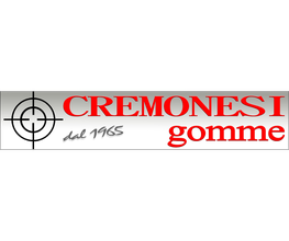 Euromaster Cremonesi Gomme immagine 8