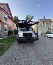 Owen's Tree Expert image 14