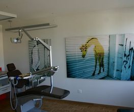 Dr. med. dent. Neugebauer Stephanie Bild 5