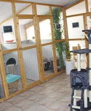 Village Canin le Grand l'Ilot image 6