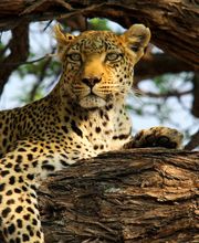 Explorer Reisebüro Dortmund Bild 1