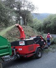 Roussillon Elagage image 9