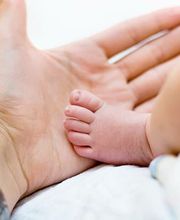 Karine Leroux image 16