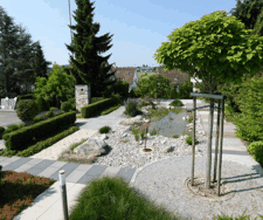 David Gartenbau AG Bild 6