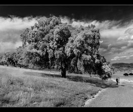 foto-iferga-paisajes-03.jpg