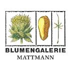 Blumengalerie Mattmann AG logo