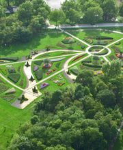 Der Grüne Baum Bild 11